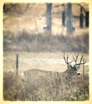 The hunting experience at TC Ranch