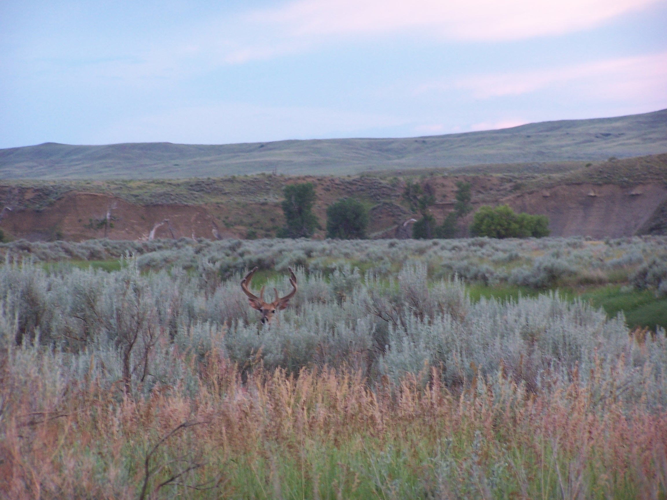 Montana's Twin Creek Ranch