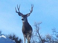 Montana's Twin Creek Ranch